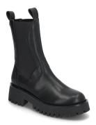 Disclose Ankle Boots Shoes Chelsea Boots Black Steve Madden