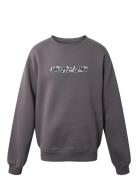 Crew Neck W/Print Tops Sweat-shirts & Hoodies Sweat-shirts Grey Hound