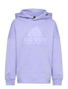 U Fi Logo Hd Sport Sweat-shirts & Hoodies Hoodies Purple Adidas Sports...