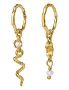 Evelyn Earrings Øredobber Smykker Gold Maanesten