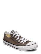 Ct A/S Seasnl Ox Charcoal Lave Sneakers Brown Converse