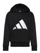 J Bl Ft Hd 280 Tops Sweat-shirts & Hoodies Hoodies Black Adidas Sports...