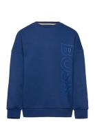 Sweatshirt Tops Sweat-shirts & Hoodies Sweat-shirts Blue BOSS