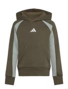 J Cb Fl Hd Sport Sweat-shirts & Hoodies Hoodies Green Adidas Sportswea...