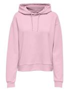 Onplounge Life Hood Ls Swt Noos Sport Sweat-shirts & Hoodies Hoodies P...