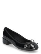 Cherish Ballerina Ballerinasko Ballerinaer Black Steve Madden