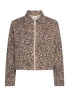 Charlie Printed Denim Jacket Dongerijakke Denimjakke Brown French Conn...