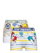 Boxer Night & Underwear Underwear Underpants Multi/patterned Paw Patro...