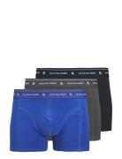 Jacron Solid Trunks 3 Pack Jnr Night & Underwear Underwear Underpants ...