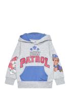 Sweats Tops Sweat-shirts & Hoodies Hoodies Grey Paw Patrol