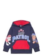 Sweats Tops Sweat-shirts & Hoodies Hoodies Navy Paw Patrol