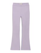Pants Rib Bottoms Trousers Purple Creamie