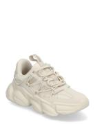 Jspectatorr Sneaker Lave Sneakers Beige Steve Madden