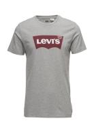 Graphic Setin Neck Graphic H21 Tops T-shirts Short-sleeved Grey Levi's...