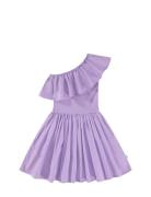 Chloey Dresses & Skirts Dresses Partydresses Purple Molo