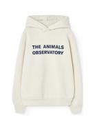 Taurus Kid Hoodie White Mouth Tops Sweat-shirts & Hoodies Hoodies Crea...