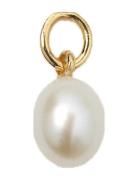 Beloved Pearl Pendant Halskjede Anheng Gold Syster P