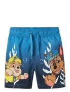 Nmmmabbe Paw Long Swimshorts Cplg Badeshorts Blue Name It