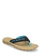 Operative Sandal 2.0 Flip-flopper Sandaler Black OAKLEY