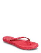 Flipflop With Glitter Shoes Summer Shoes Sandals Flip Flops Pink Ilse ...