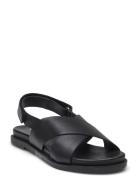 Sandal Shoes Summer Shoes Sandals Black Sofie Schnoor Young