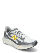 New Balance Freshfoam Arishi V4 Sport Sport Shoes Running Shoes White ...