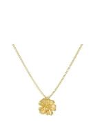 Floral Necklace S Accessories Jewellery Necklaces Dainty Necklaces Gol...
