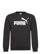 Ess No. 1 Logo Crew Tr B Sport Sweat-shirts & Hoodies Sweat-shirts Bla...