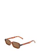 Pilferer Accessories Sunglasses D-frame- Wayfarer Sunglasses Brown Le ...