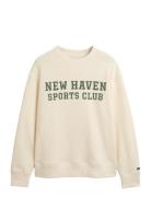 Graphic C-Neck Tops Sweat-shirts & Hoodies Sweat-shirts Cream GANT