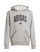 J Clgt Oh Fl Hd Tops Sweat-shirts & Hoodies Hoodies Grey Adidas Sports...