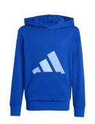J Bl Ft Hd 280 Tops Sweat-shirts & Hoodies Hoodies Blue Adidas Sportsw...