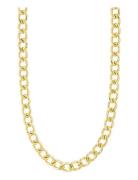 Charm Curb Necklace Gold-Plated Accessories Jewellery Necklaces Chain ...