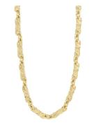 Instant Necklace Gold-Plated Accessories Jewellery Necklaces Chain Nec...