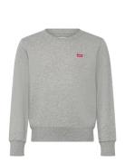 Fw-Crew Tops Sweat-shirts & Hoodies Sweat-shirts Grey Levi's
