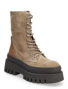 Coast Shoes Boots Ankle Boots Laced Boots Brown Steve Madden