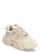 Spectator Lave Sneakers Cream Steve Madden