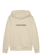 Inst. Logo Reg. Terry Hoodie Tops Sweat-shirts & Hoodies Hoodies Beige...