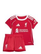 Lfc H Baby Sets Sets With Short-sleeved T-shirt Red Adidas Performance