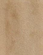 Juicy Couture - Beige - Robertson Gold Hoodie