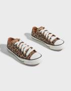 Converse - Multi/Mønstrete - Chuck Taylor All Star Leopard