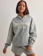 True Religion - Grå - Patched Tr Bf Hoodie
