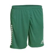 Select Monaco Shorts - Grønn