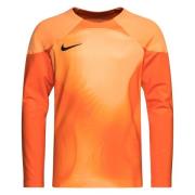 Nike Keeperdrakt Dri-FIT ADV Gardien IV L/E - Oransje/Oransje/Sort Bar...