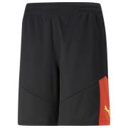 PUMA Treningsshorts IndividualFINAL - Sort/Rød