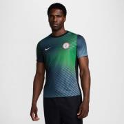 Nigeria Trenings T-Skjorte Dri-FIT Academy Pro Pre Match - Grå/Grønn/S...