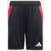 Adidas Tiro 24 Competition Training Shorts Kids