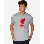 Liverpool T-Skjorte Liverbird - Grå