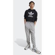 Adidas Original Adicolor Crop Hoodie Kids