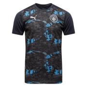 Manchester City Trenings T-Skjorte Pre Match - Strong Gray/Kul Lysegrå...